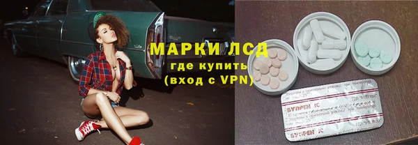 сатива Абинск