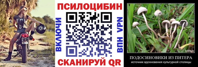 Псилоцибиновые грибы GOLDEN TEACHER  гидра как войти  Ханты-Мансийск  наркотики 